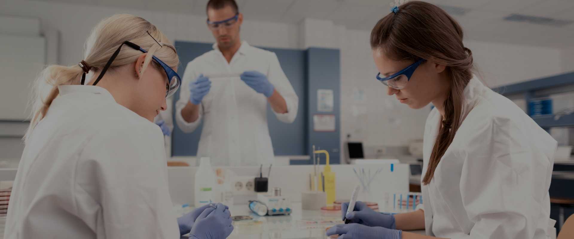 A Guide To Master's In Biomedical Engineering In Germany