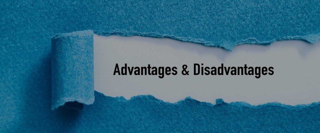 Guide To Advantages and Disadvantages of Studying in the USA