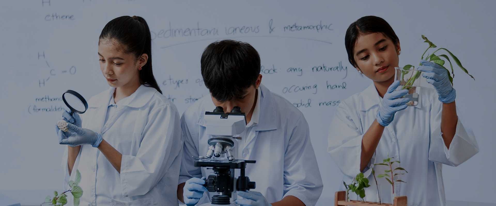 free-study-abroad-for-science-students-after-12th