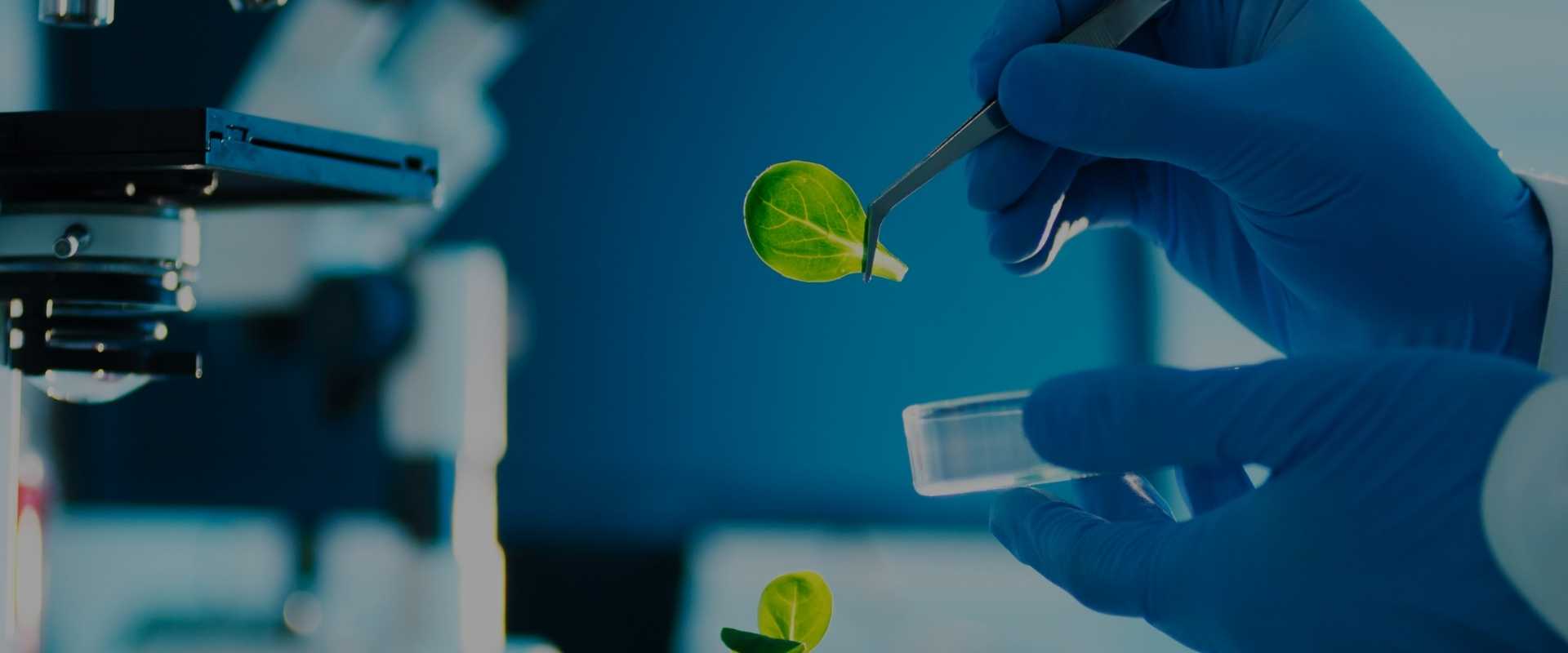 master-s-in-biotechnology-in-germany-career-scope