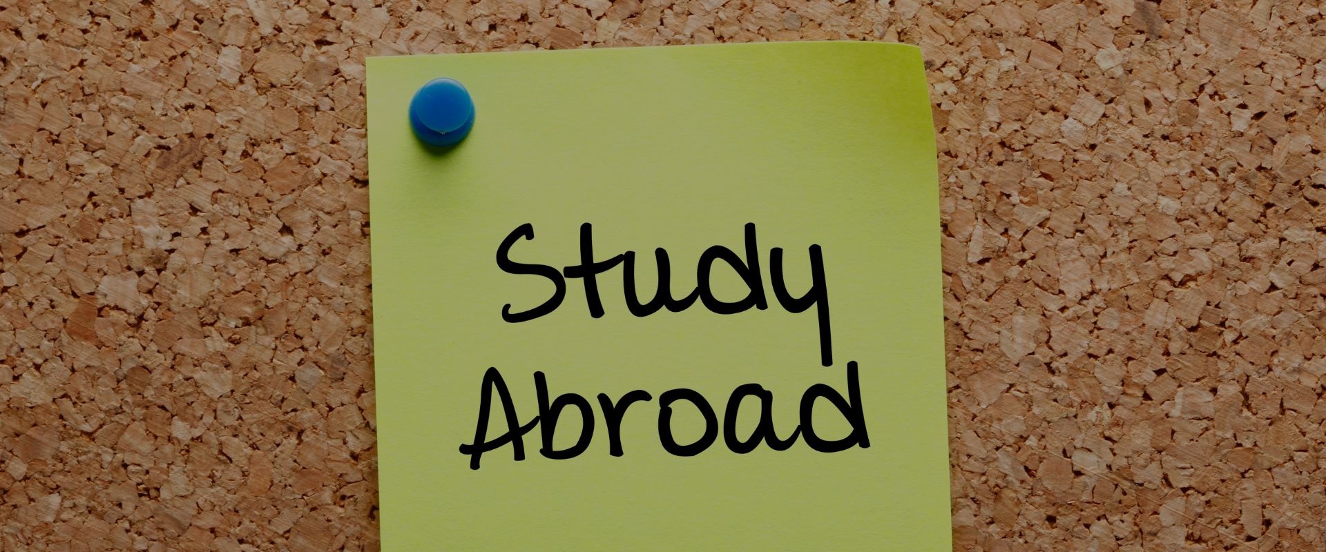 Fall vs Spring: Best Intake for Study Abroad?