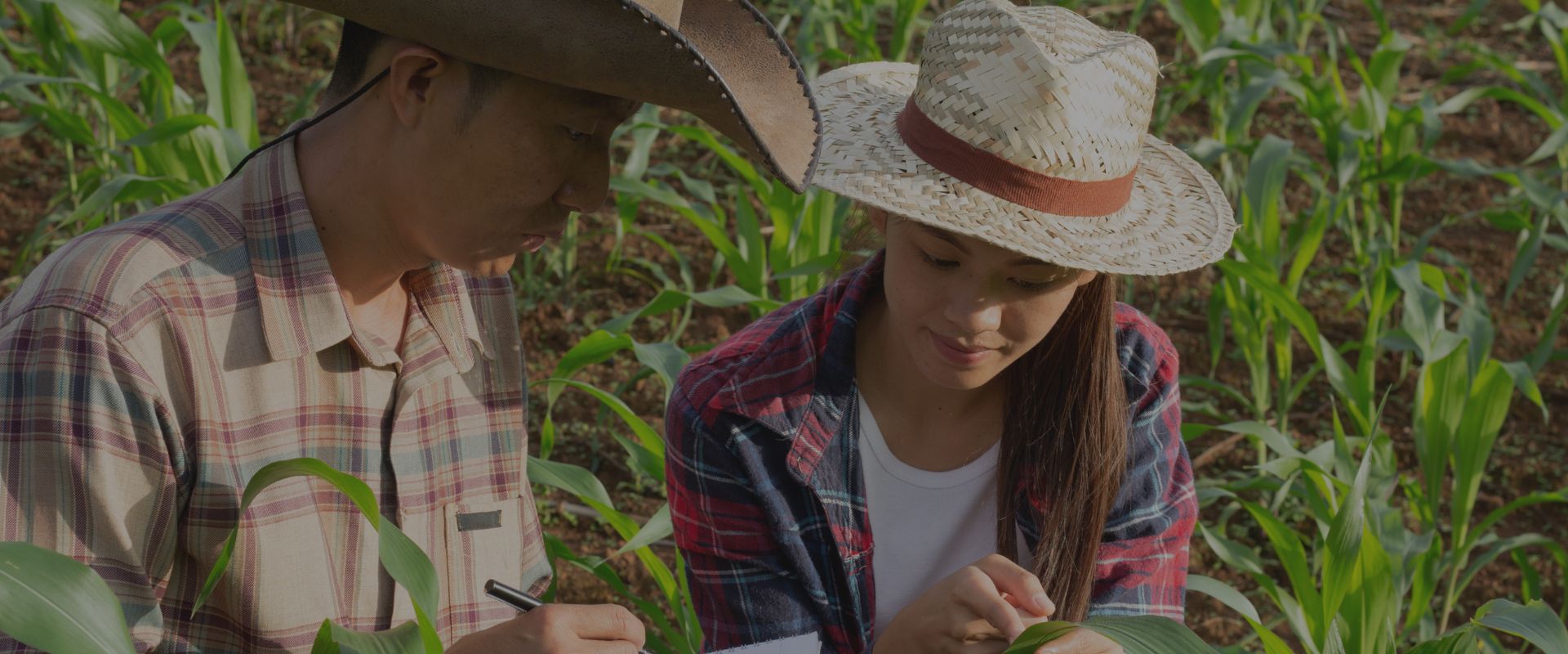 Study Agriculture in Ireland: Best Opportunities